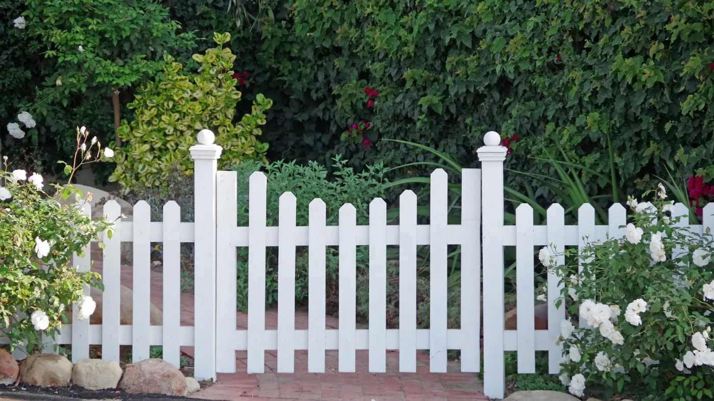Deck staining and fence painting in Los Angeles CA garden
